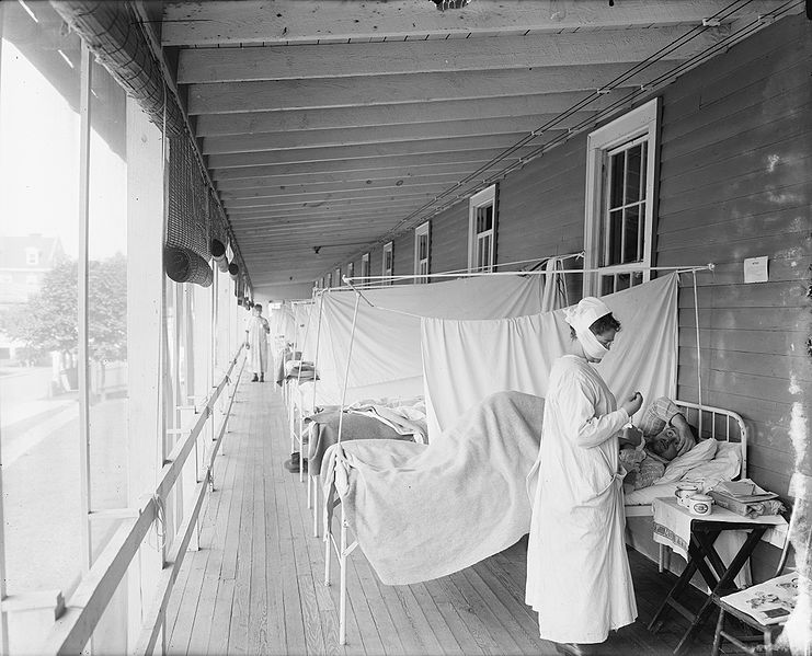 Pandèmies en la història — Grip epanyola